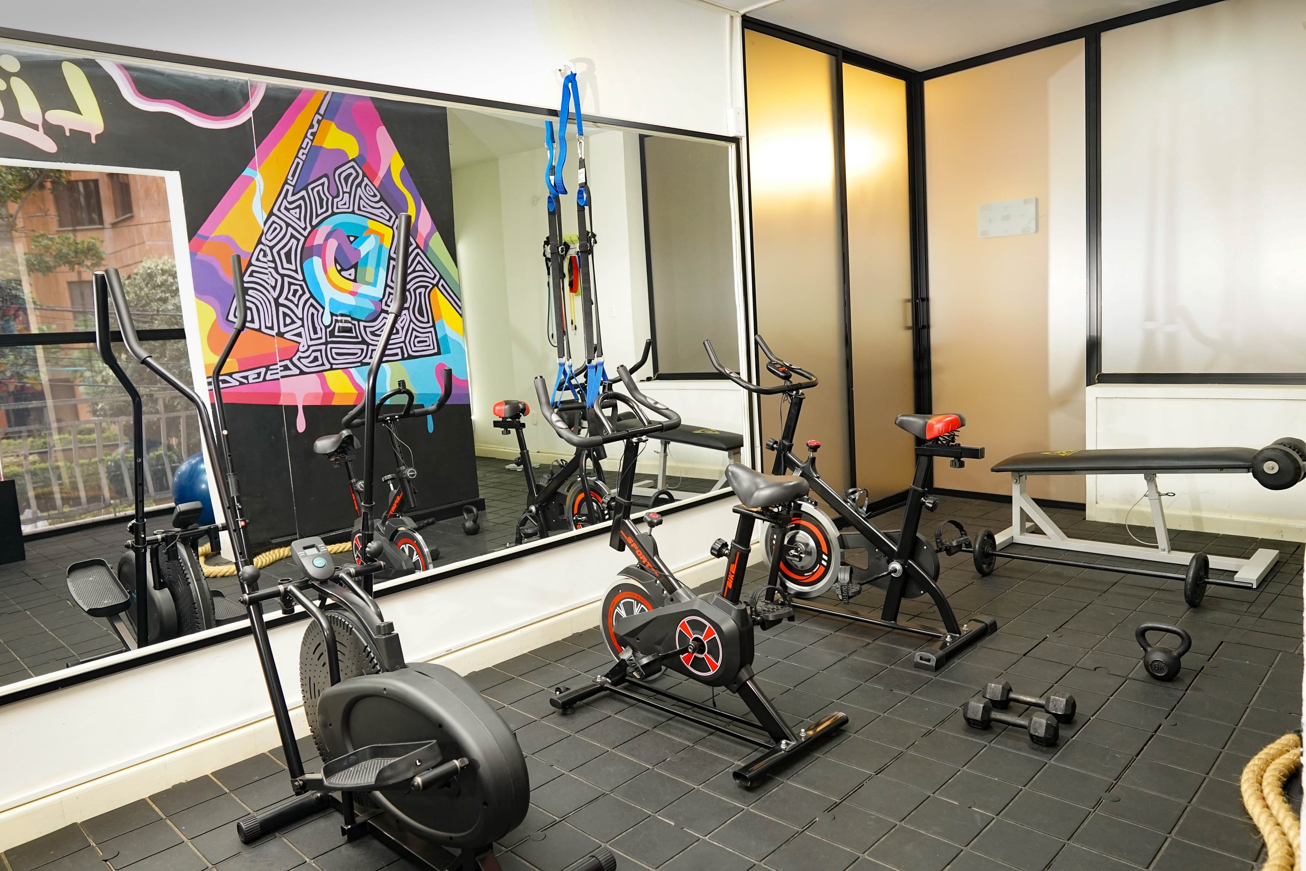 Gimnasio profecional